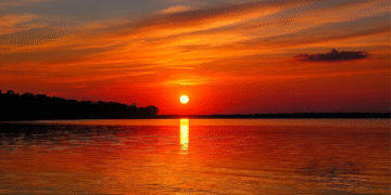 Lake Maurepas: A Story Too Painful to Ignore