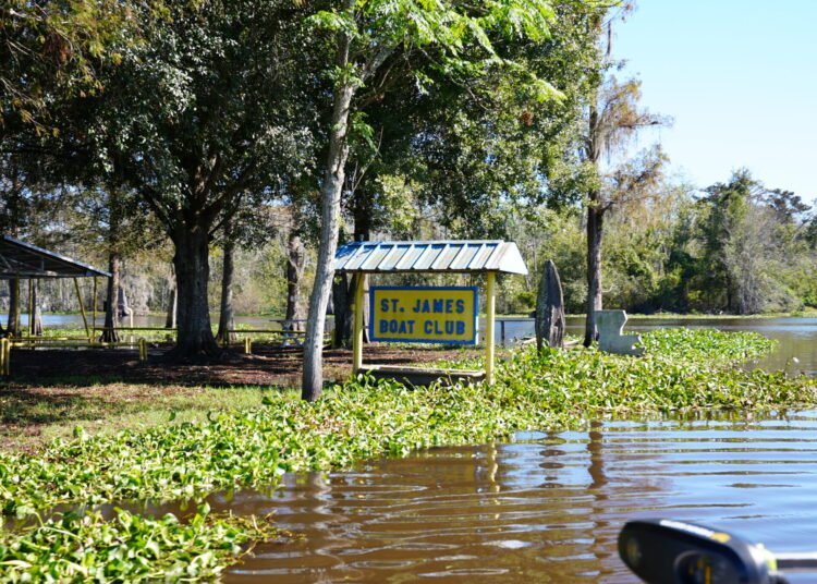 Lake Maurepas: A Story Too Painful to Ignore